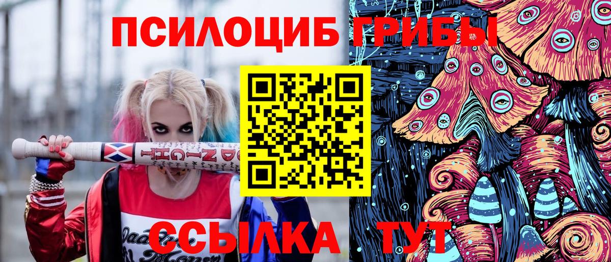 Псилоцибиновые грибы мухоморы Нальчик